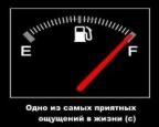 ДИКИЙ аватар