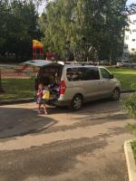 torodion аватар