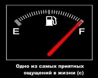 ДИКИЙ аватар
